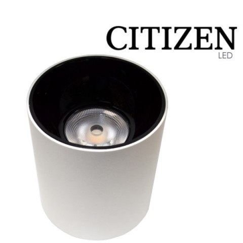 Downlight led Triad 40W IP65 4000K natynkowy biały