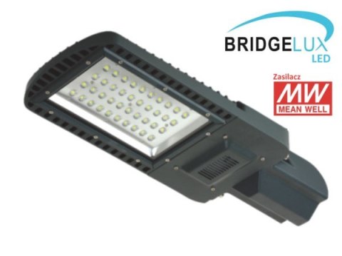 Lampa uliczna LED Titan 40W DW Bridgelux