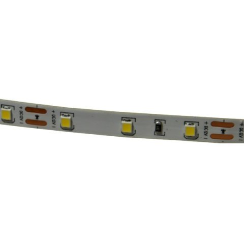 Taśma LED Premium 2835 60d/m 50m 4000K IP20