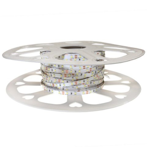Taśma LED Premium 2835 60d/m 50m 6000K IP20
