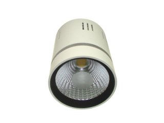 Downlight LED COB LONER 15W+3W biały ciepły+niebi