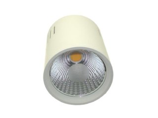 Downlight LED COB LONER 15W DW
