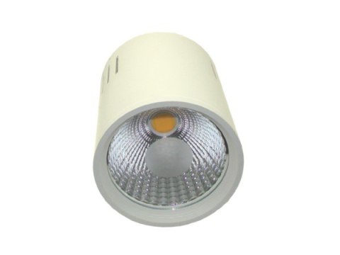 Downlight LED COB LONER 15W DW