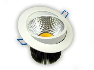 Downlight LED COB Rowana 20W biały dzienny