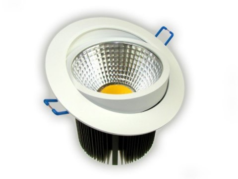 Downlight LED COB Rowana 20W biały dzienny