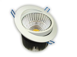 Downlight LED COB Rowana 30W biały dzienny