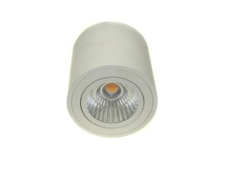 Downlight led Robard 12W DW