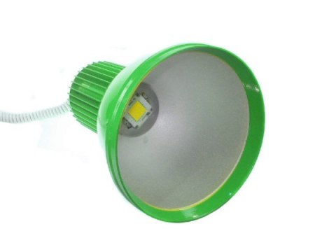 Lampa LED HIGH BAY Beri 30W DW zielona