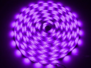 Taśma LED 5050 fioletowa 5m/300diod IP65 --