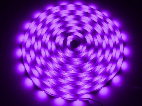 Taśma LED 5050 fioletowa 5m/300diod IP65 --