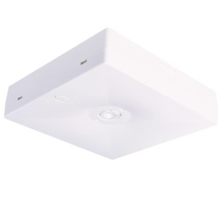 Awaryjna Starlet Quad 350 2,5W A 1h MT SO