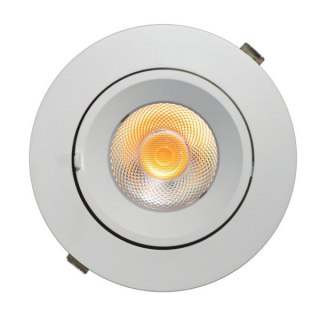 Downlight LED Tilly 30W regulowany 3000K kąt 24