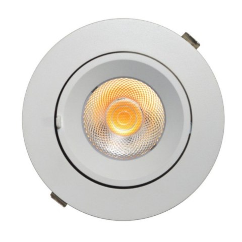 Downlight LED Tilly 30W regulowany 3000K kąt 24