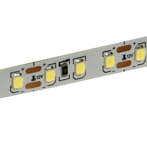 Taśma LED Premium 2835 120d/m 50m 6000K IP20