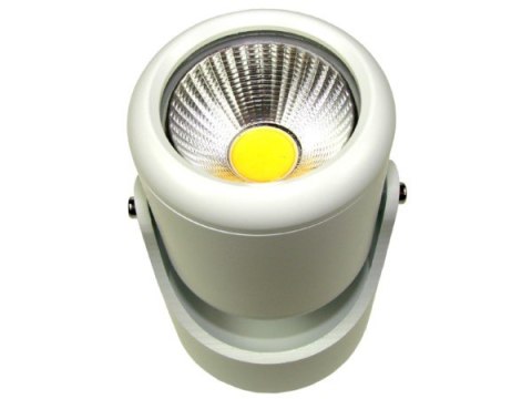 Downlight led Maccus 6W WW biały