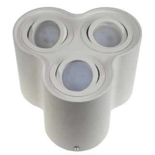 Oprawa sufitowa Baroco White ruchoma okrągła alumi