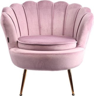 Krzesło Fotel Muszla Lugano DONNA VELVET PINK