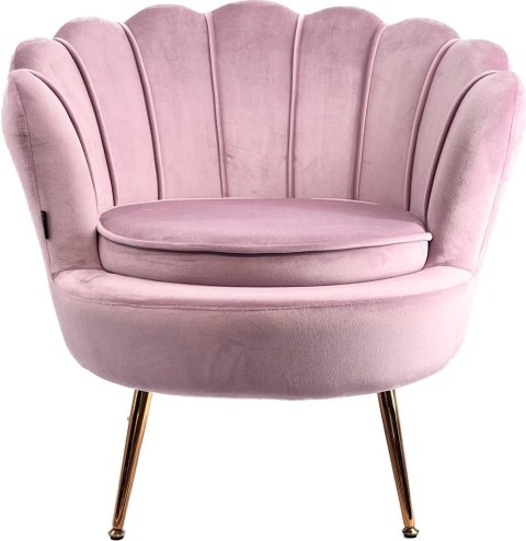 Krzesło Fotel Muszla Lugano DONNA VELVET PINK
