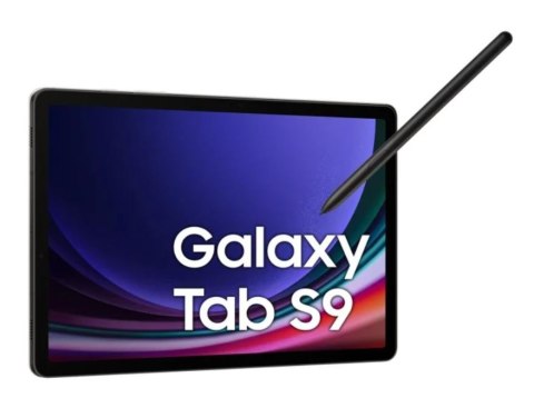 Tablet Galaxy Tab S9 X716 5G 11 cali 12/256 GB Gray
