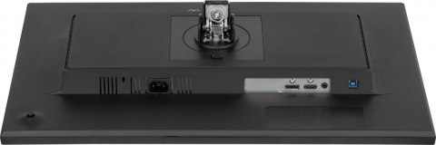 Monitor 24 cale XUB2495WSU-B7 IPS 16:10 300cd 4ms HDMI DP 3xUSB(3.2)  1xUSB-c 2x2W FlickerFree HAS(150mm)