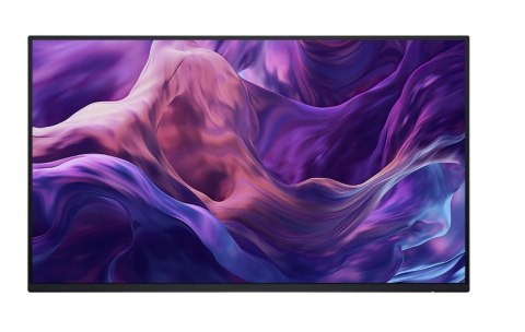 Monitor 23 8 cala P2425H WOST IPS