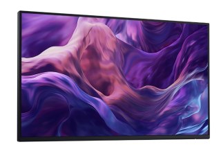 Monitor 23 8 cala P2425H WOST IPS