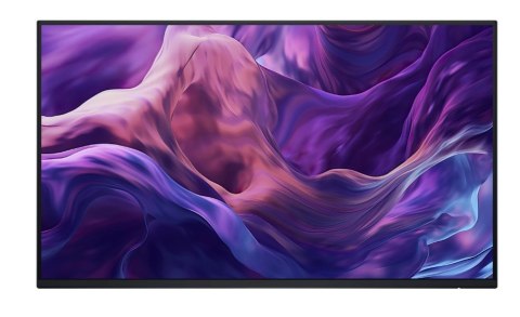 Monitor 23 8 cala P2425H WOST IPS