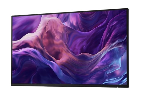 Monitor 23 8 cala P2425H WOST IPS