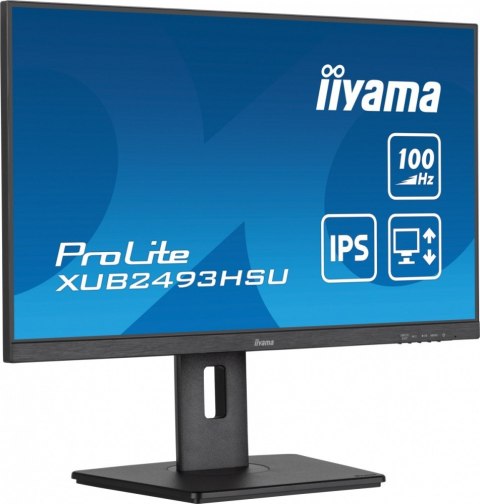 Monitor 24 cale XUB2493HSU-B7 IPS.HDMI.DP.2x2W.USBx2 300cd