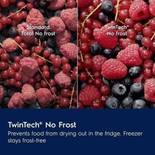 Chłodziarko-zamrażarka LNT6NE18S SMK Electrolux