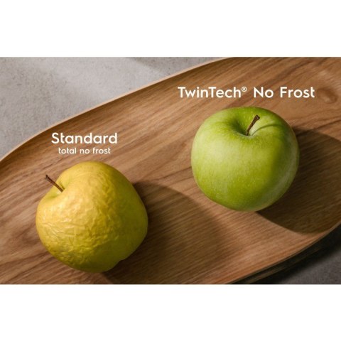 Chłodziarko-zamrażarka LNT6NE18S SMK Electrolux