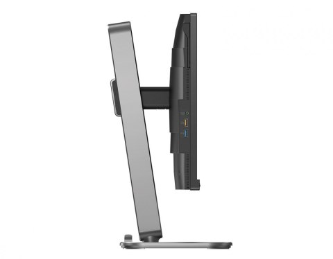 Monitor 23.8 cala 24B2G5200 IPS 100Hz HDMI DP Pivot Głośniki