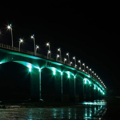 Projektor LED V-TAC 20W SMD E-Series Czarny VT-4021 Kolor Zielony