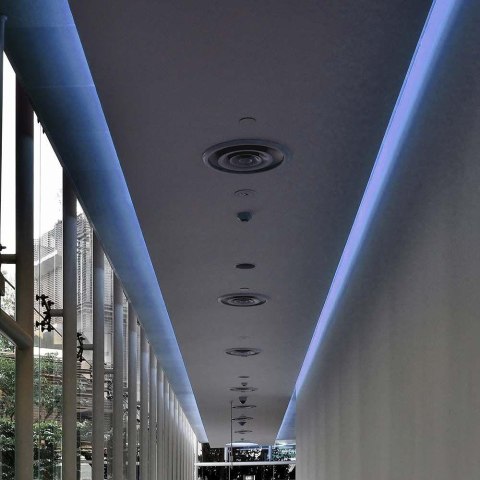 Taśma LED V-TAC SMD3528 300LED IP65 RĘKAW 3,2W/m VT-3528 IP65 Kolor Niebieski