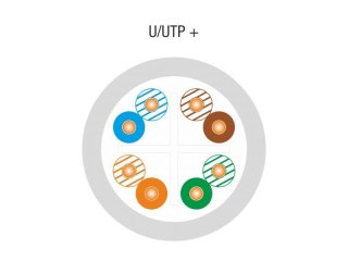 Kabel teleinformatyczny U UTP kat 6 PVC 100% Miedź 305m   10 lat gwarancji