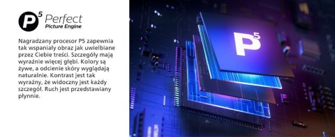 Telewizor 65 cali LED 65PUS8919/12 Philips