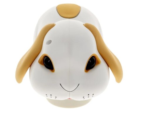 Gra Bobek Niesforny Króliczek, gra zręcznościowa