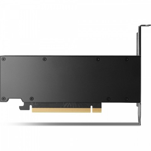 Karta graficzna NVIDIA RTX 2000 Ada 16GB 4mDP GFX 8D6B8AA