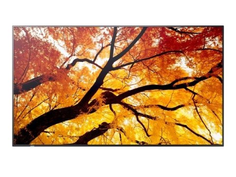 Monitor wielkoformatowy MultiSync M552 55 cali 550cd m2 24 7