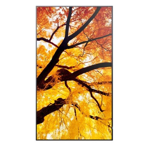 Monitor wielkoformatowy MultiSync M552 55 cali 550cd m2 24 7