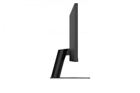 Monitor 29U511A-B 29 cali IPS UltraWide 21:9 WFHD