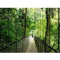 ProDesk 4 Tower G1i Desktop AI PC U7-265 1TB 16 W11P 9H7U8ET