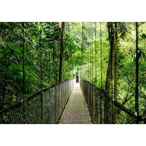 ProDesk 4 Tower G1i Desktop AI PC U7-265 1TB 16 W11P 9H7U8ET