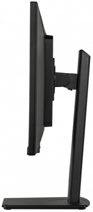 Monitor ProLite 34 cale XUB3493WQSU-B6