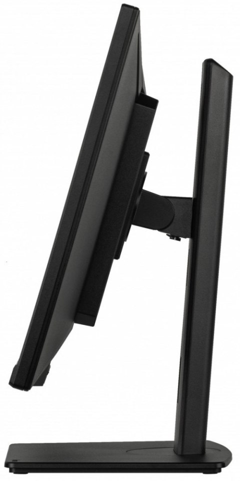 Monitor ProLite 34 cale XUB3493WQSU-B6