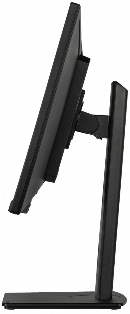 Monitor ProLite 34 cale XUB3493WQSU-B6