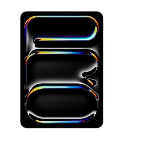 IPad Pro 11-calowy Wi-Fi 256 GB ze standardowym szkłem - Srebrny