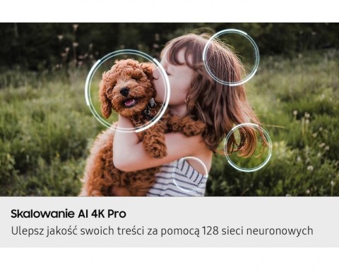 Telewizor OLED 48 cali QE48S90FAEXXH