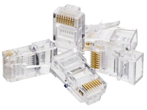 Wtyk RJ45 UTP kat 6 (op  100 szt)