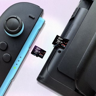 Karta pamięci microSDXC 256GB Express 7.1, PCIe Gen 3x1, NVMe, 880MB s